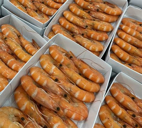 high quality frozen vannamei shrimp khoi viet seafood