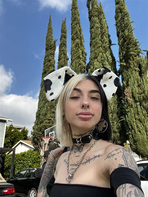 birthday brat on Twitter: "somehow me and victoria ended up on leashes