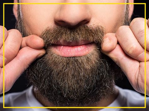 Saúde da Barba – Barbearia O Barbeiro