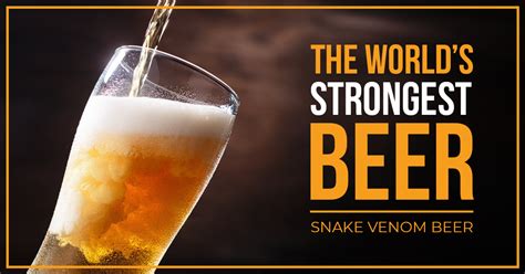 Snake Venom Beer: What Every Beer Lover Should Know