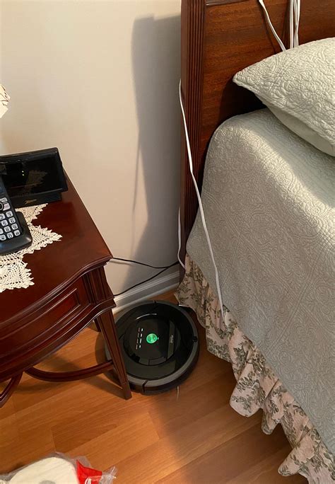 Are Roomba Vacuums Self Aware?. Our Rhonda Roomba strongly exhibits