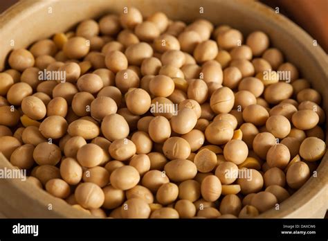 Soy bean plant hi-res stock photography and images - Alamy