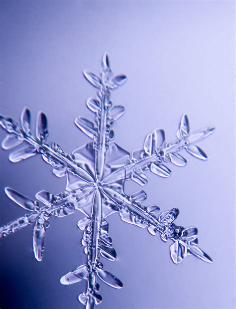 Only at RIT – Confessions of a Snowflake Photographer | Photography