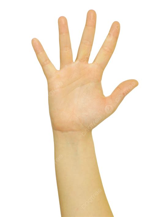 Hand Gestures Count, Fist, Color, Zero PNG Transparent Image and