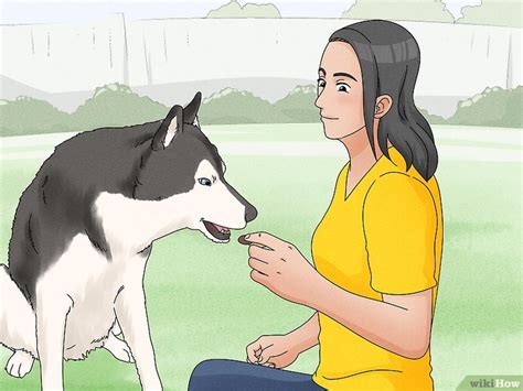 3 formas de abrazar a un perro - wikiHow