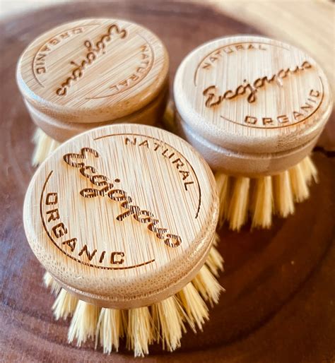 Ecojoyous - Best Maker of Sustainable Joy - Sactown Magazine