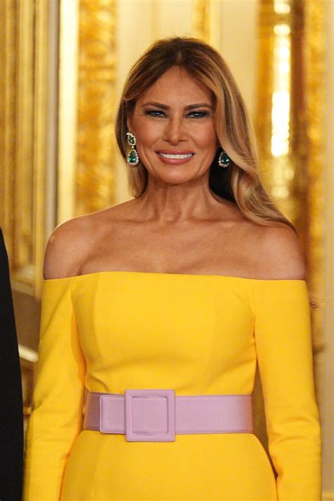 Melania Trump trolled online for ‘ugly’ State Dinner gown hours after