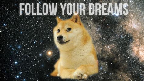 Doge Wallpapers - Wallpaper Cave