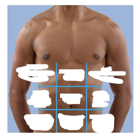 lab ch 1 surface anatomy 1 Diagram | Quizlet 