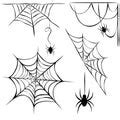 image    black spiders creepyhalloweenimages
