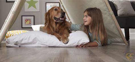 financing  flooring eastman carpet flooring