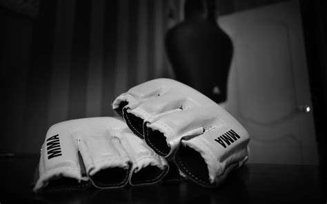 🔥 Download Mma Wallpaper Top Background by @jacquelinef | Mma