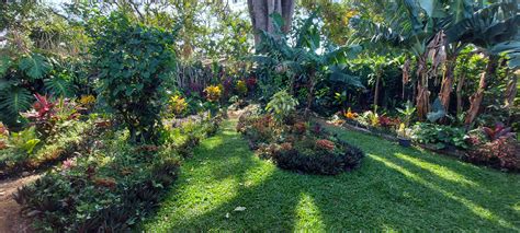 4275 best Costa Rica images on Pholder | Earth Porn, Nature Is Fucking