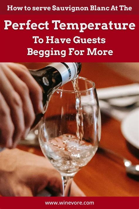 How to serve Sauvignon Blanc At The Perfect Temperature To Have Guests ...