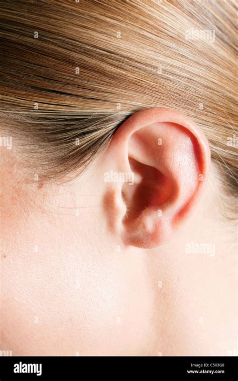 womans ear full frame close  stock photo alamy