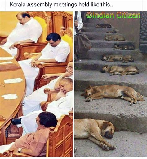Letting Sleeping Dogs Lie! | Thuppahi's Blog