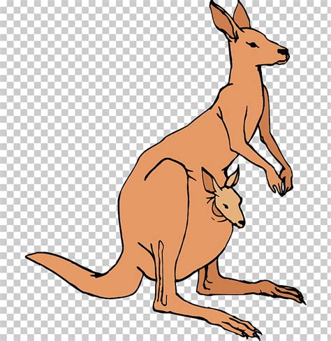 australian kangaroo clipart 10 free Cliparts | Download images on ...