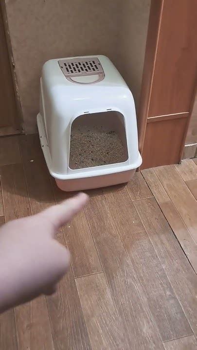 мамы это святое ️ - YouTube