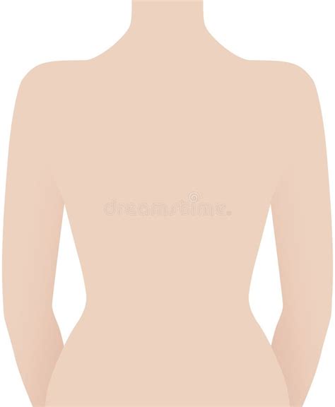 human  vector illustration stock vector illustration  beauty