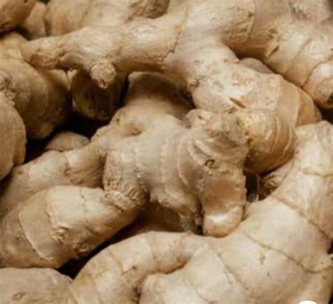 product indonesian trade