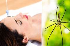 Kendallbabexs Biggest Fear Will Shock You Spiders