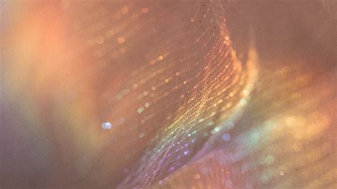 Why Your Customer Experience Outshines Everything - Every. Single. Time