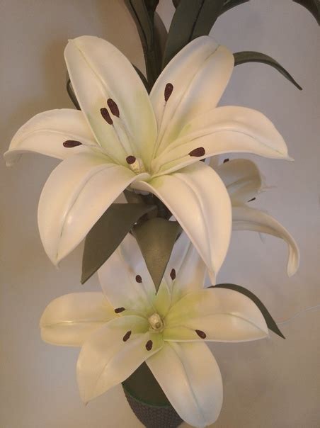 Добрый день . Моя новая лилия!!!! Использовала Изолон 2 мм, ушло 50 см ...