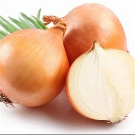 jual bawang bombay gr bawang bombay segar bawang bombay shopee