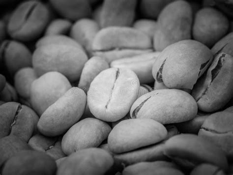 Coffee beans stock photo. Image of crop, close, white - 49724524