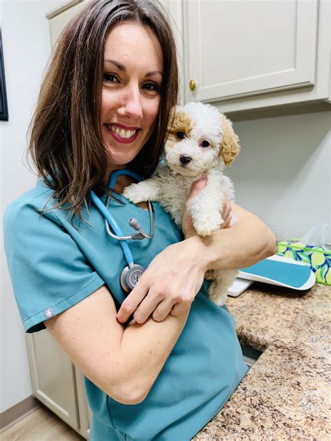 hernando animal clinic 7