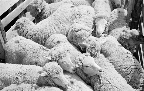 state  oregon oregon ghost towns oregon ranching history