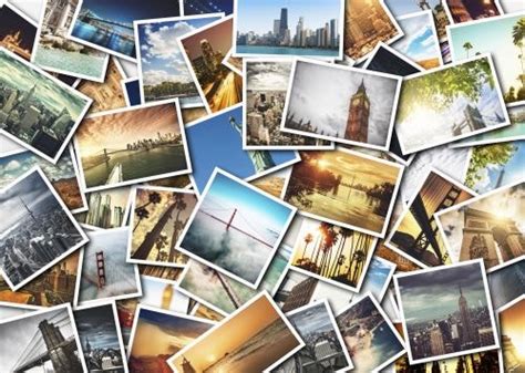 foto drucken albellide