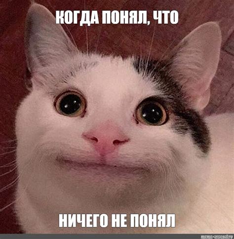 Мем: "КОГДА ПОНЯЛ, ЧТО НИЧЕГО НЕ ПОНЯЛ" - Все шаблоны - Meme-arsenal.com