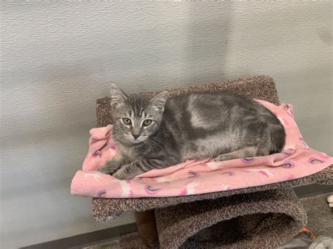 Pet Supplies Plus - Omaha, NE | Omaha NE