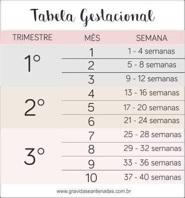 Dois Semestres São Quantos Meses - 5 semanas e 4 dias sao quantos meses? | BabyCenter