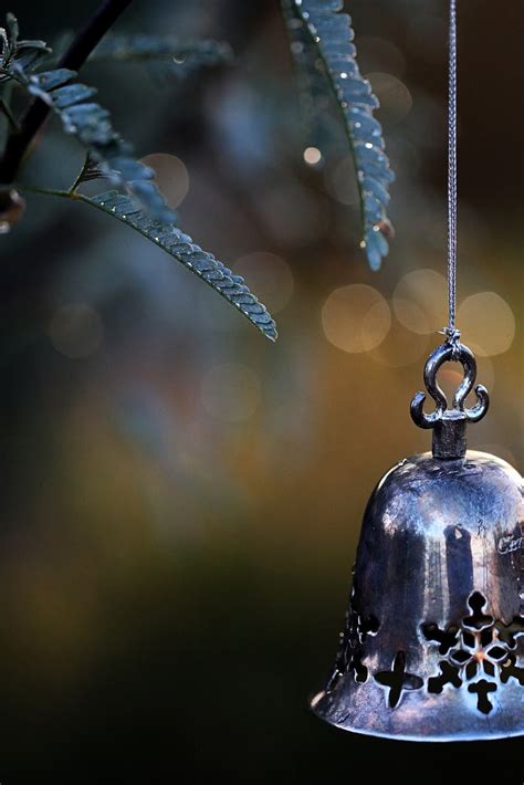 among the saguaros: ring Christmas bells, merrily ring