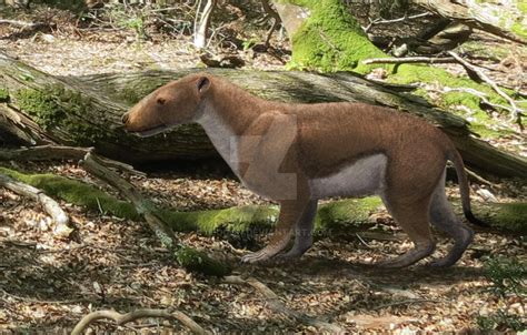 Hyaenodon-cruentus by Leogon on DeviantArt