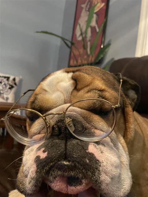 This is our new baby, Dottie Hinson (the queen of diamonds) : r/Bulldogs