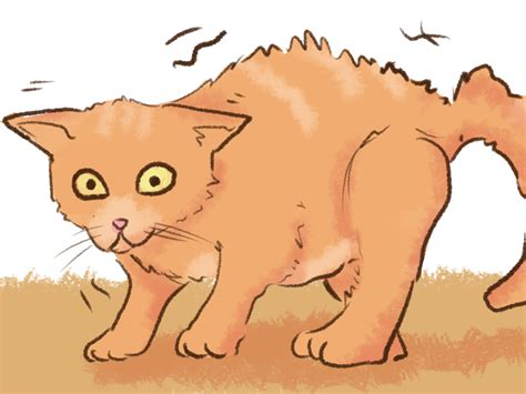 guide to hedgehog biting step by step 6