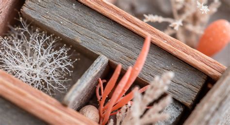 How Does Soil Microbes Affect Mood? → Learn