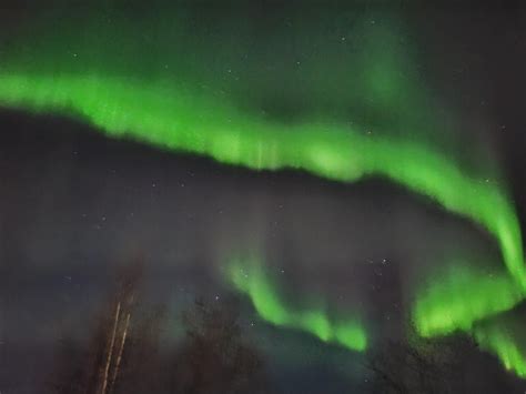 NORTHERN LIGHTS!!! : r/akgingersnapsofficial