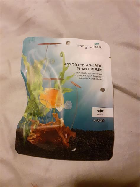 Will these grow or should i get a refund? : r/PlantedTank