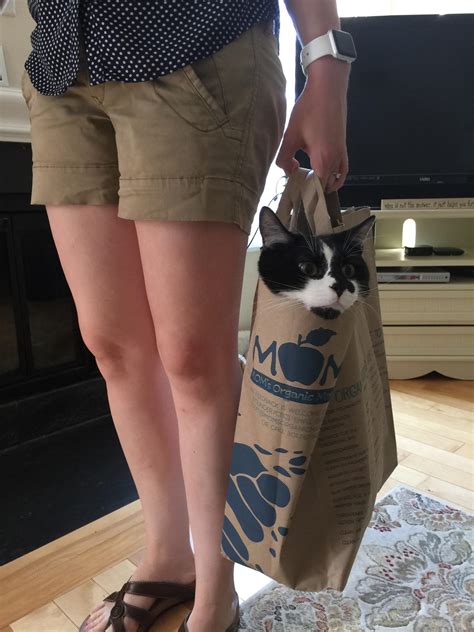 Organic kitty. Not quite worth the up-charge. : r/cats