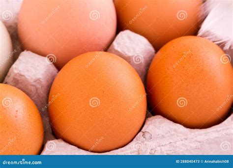 fresh eggs stock image image  organic fresh crate