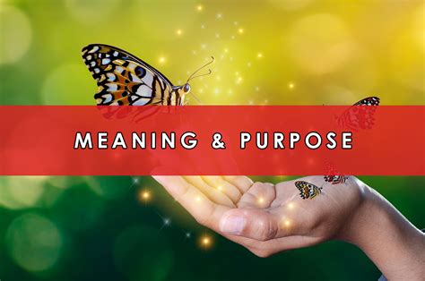 meaning purpose heartfirst education