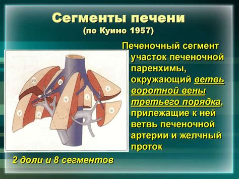 Заболевания печени - презентация онлайн