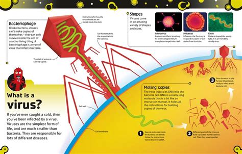 The Bacteria Book | Angus & Robertson