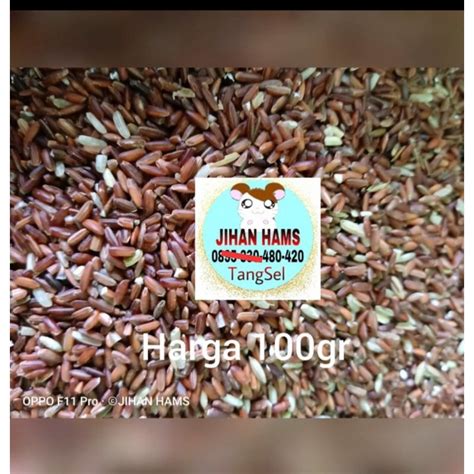 Jual beras merah 100 gr | Shopee Indonesia