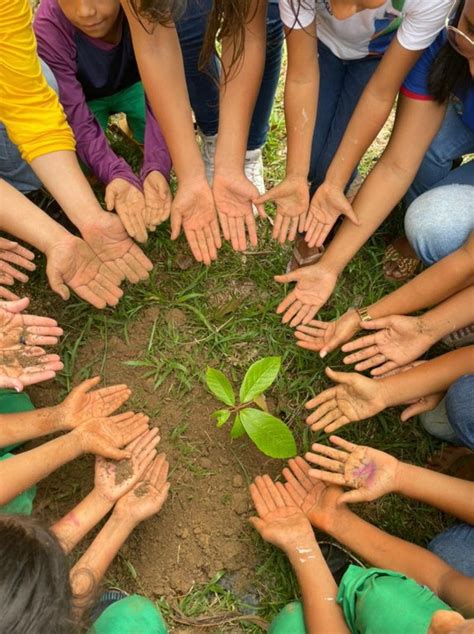 Educação Ambiental como processo de equilíbrio entre o progresso e a ...