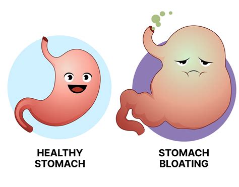 Gut Health And Its Impact On Bloating - Doral Health & Wellness NY